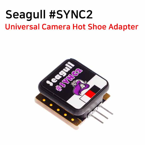[Seagull] Seagull #SYNC2 Shoe Adapter 카메라슈 어답터